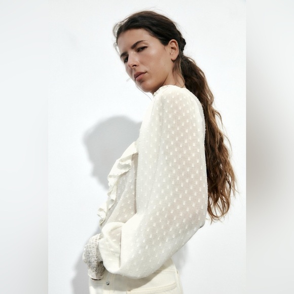 Zara Sheer Swissdot Ruffle V-Neck Crochet Trim Button Up Balloon Sleeve Blouse - Picture 4 of 16